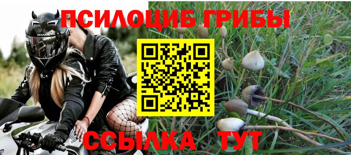 Псилоцибиновые грибы Magic Shrooms  Вход с VPN  Сибай 