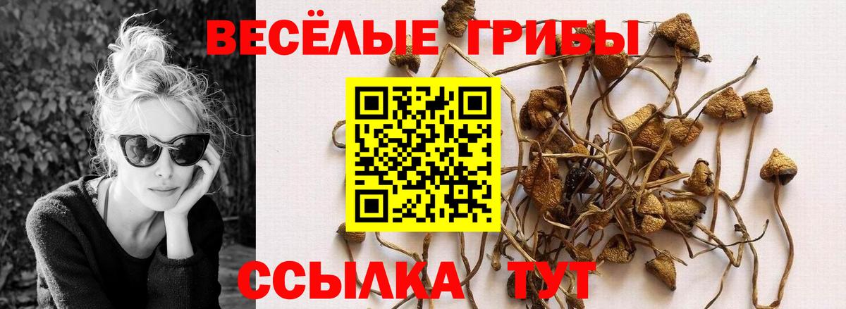 Конопля  Кокаин  МДМА  Сибай  ГАШ  Вход с VPN  МАРИХУАНА  Мефедрон  